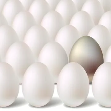 Silver egg concept Stock Illustration