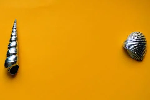 Silver eggs and shells on colored background Foto stock