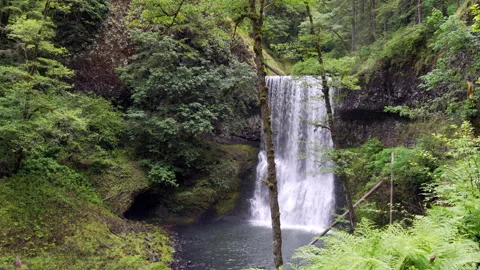 Silver Falls Lower South Falls Stock Footage 201340595