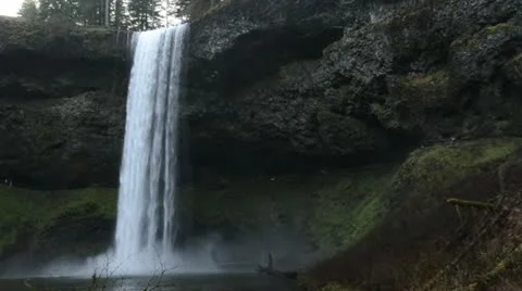 Silver Falls State Park in Oregon Stock Footage 11865968