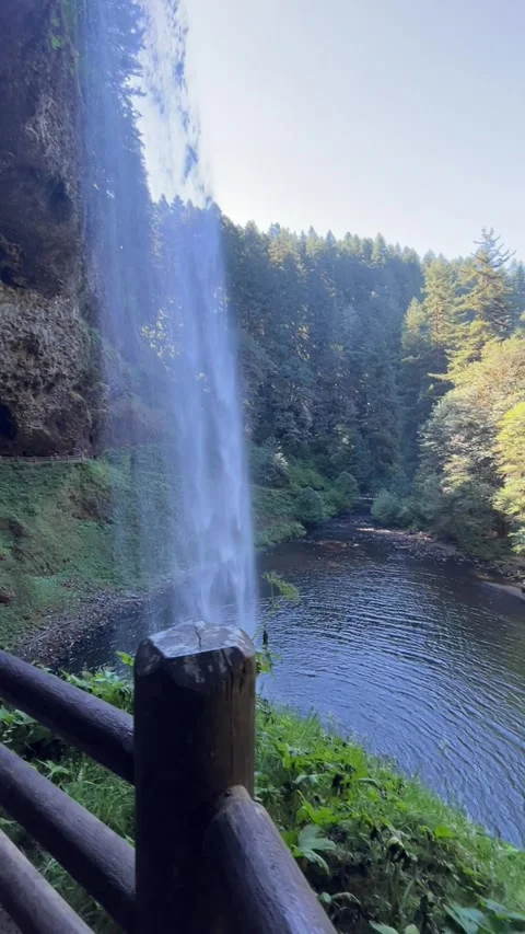 Silver Falls State Park Oregon Video stock 329453674