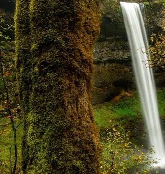 Silver Falls State Park Waterfall in Oregon, USA Stock Photos