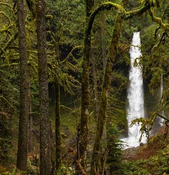 Silver Falls State Park Waterfall in Oregon, USA Stock Photos