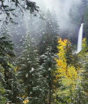 Silver Falls State Park Waterfall in Oregon, USA Stock Photos