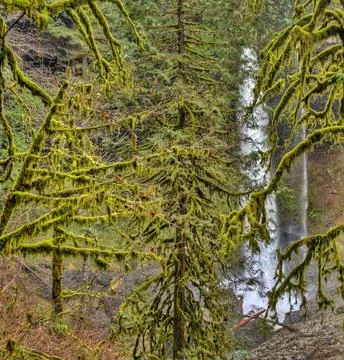 Silver Falls State Park Waterfall in Oregon, USA Stock Photos