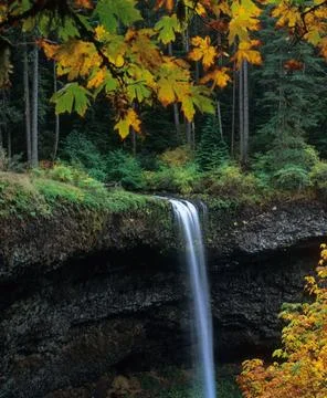Silver Falls State Park Waterfall in Oregon, USA Stock Photos