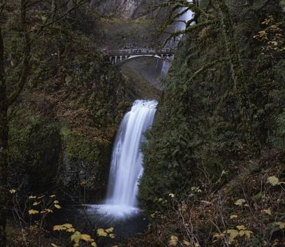 Silver Falls State Park Waterfall in Oregon, USA Stock Photos