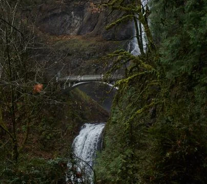 Silver Falls State Park Waterfall in Oregon, USA Stock Photos