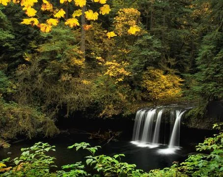 Silver Falls State Park Waterfall in Oregon, USA Stock Photos