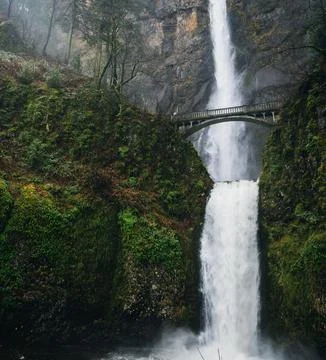 Silver Falls State Park Waterfall in Oregon, USA Stock Photos