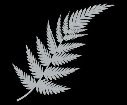 Silver Fern Leaf Vector on Black Background Stock Illustration