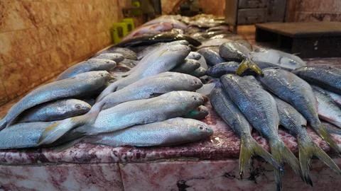 Silver fish pile on marble surface under warm light Stock Photos