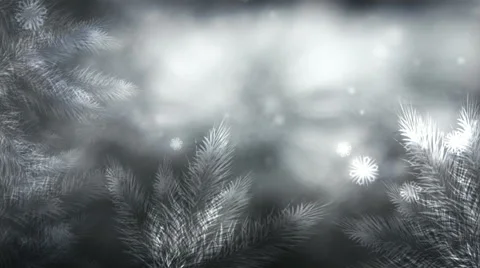 Silver Forest 1080  background Stock Footage 50787522