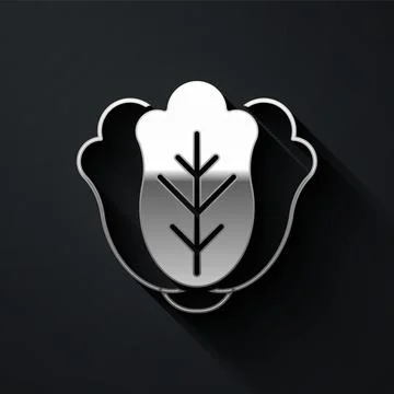 Silver Fresh cabbage vegetable icon isolated on black background. Long shadow Ilustración de archivo