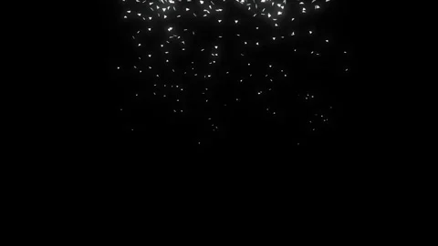 Silver glitter rain on black background Stock-Footage 262214720