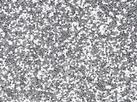 Silver glitter texture closeup. Saturated shiny holographic background for Stock Photos