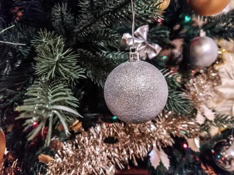 Silver globe on a Christmas tree Stock Photos