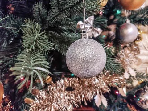 Silver globe on a Christmas tree Fotos Stock