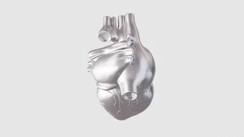 Silver Heart Model 3D Animation Display Stock Footage 307011359