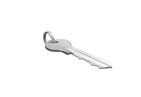 Silver key with silver ring for locking lock Stock Illustration