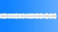 The Silver LadyStock Music