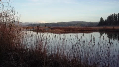 Silver Lake, Washington 4K Stock Footage 186363945