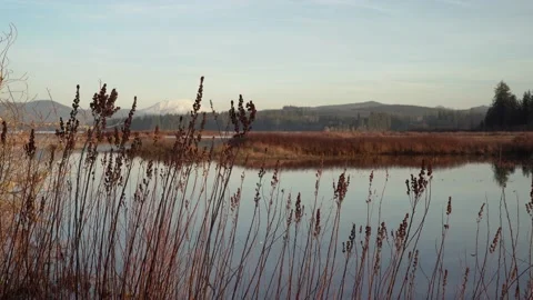 Silver Lake, Washington 4K Stock Footage 186366190