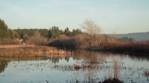 Silver Lake, Washington 4K Stock Footage 186366547