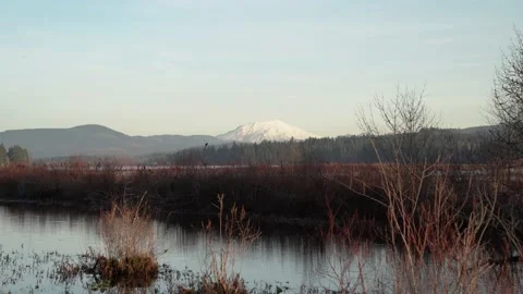 Silver Lake, Washington 4K Stock Footage 186366959