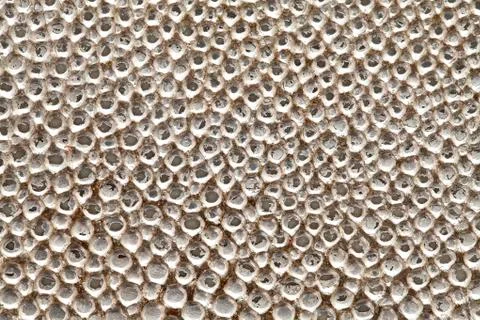 Silver leaf in bronze texture Stock Photos