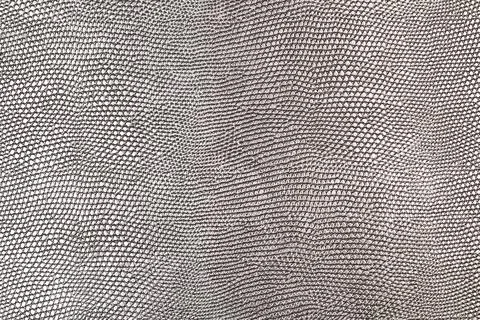 A silver leather texture in a close up view Stock Photos