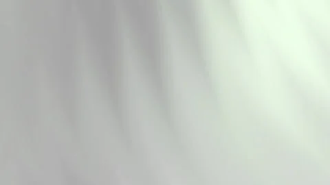 Silver light gray curved lines Stock Footage 312944900