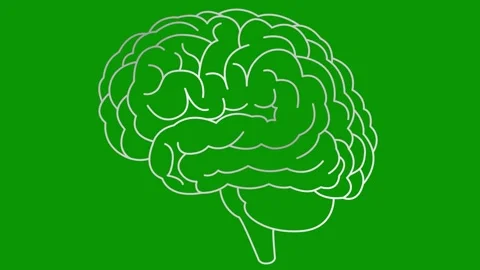 Silver line brain 2 green Stock Footage 304491865