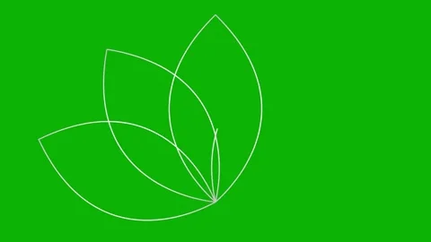 Silver line lotus green Video stock 243992385