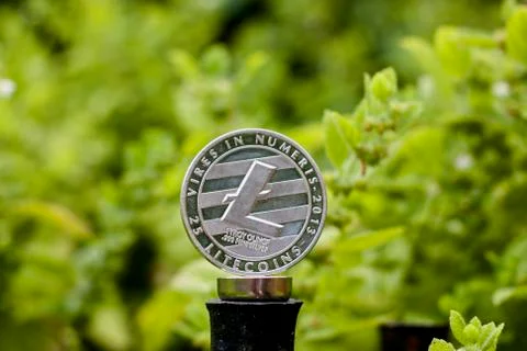 Silver Litecoin coin Stock Photos