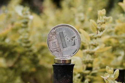 Silver Litecoin coin Stock Photos