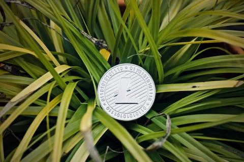 Silver litecoin coin Stock Photos