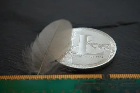 Silver litecoin on the gray stone surface Stock Photos