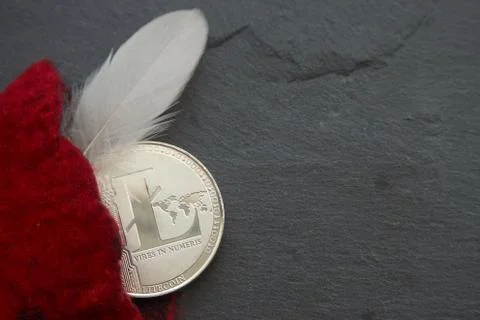 Silver litecoin on the gray stone surface Stock Photos