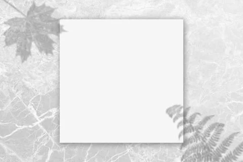 Silver Mable Texture Background with free space for photo or text or etc. Stock Illustration