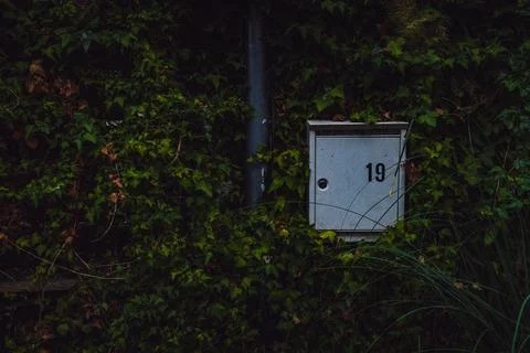 Silver mailbox nestled inside hedge in Durbuy Belgium Foto stock