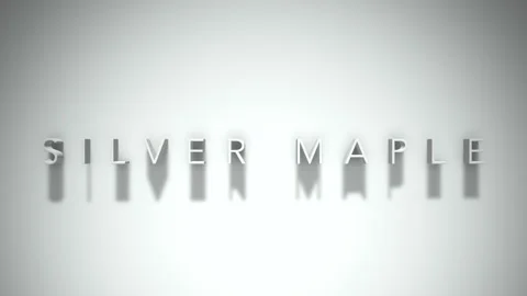 Silver maple 3D title animation with shadows on a white background Stock Footage 297817271