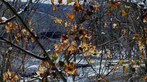 Silver Mines Bridge Stock Footage 47949047
