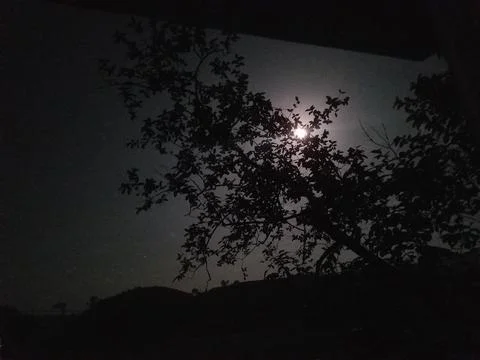 Silver Moon Stock Photos