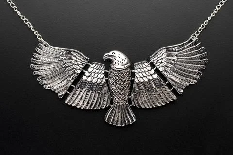 Silver necklace eagle on a chain isolated on black Stock Photos