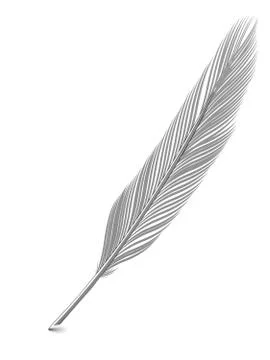 Silver or platinum feather quill over white background Ilustração Stock