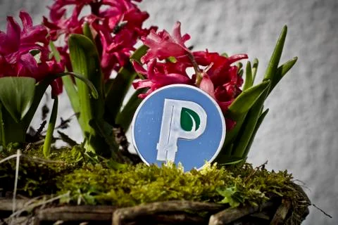 Silver peercoin coin Stock Photos