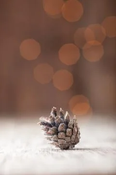 Silver Pine cone on bokeh background Stock Photos