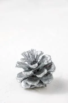 Silver pine cone on white background Stock Photos