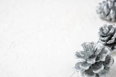 Silver pine cones on white background Stock Photos